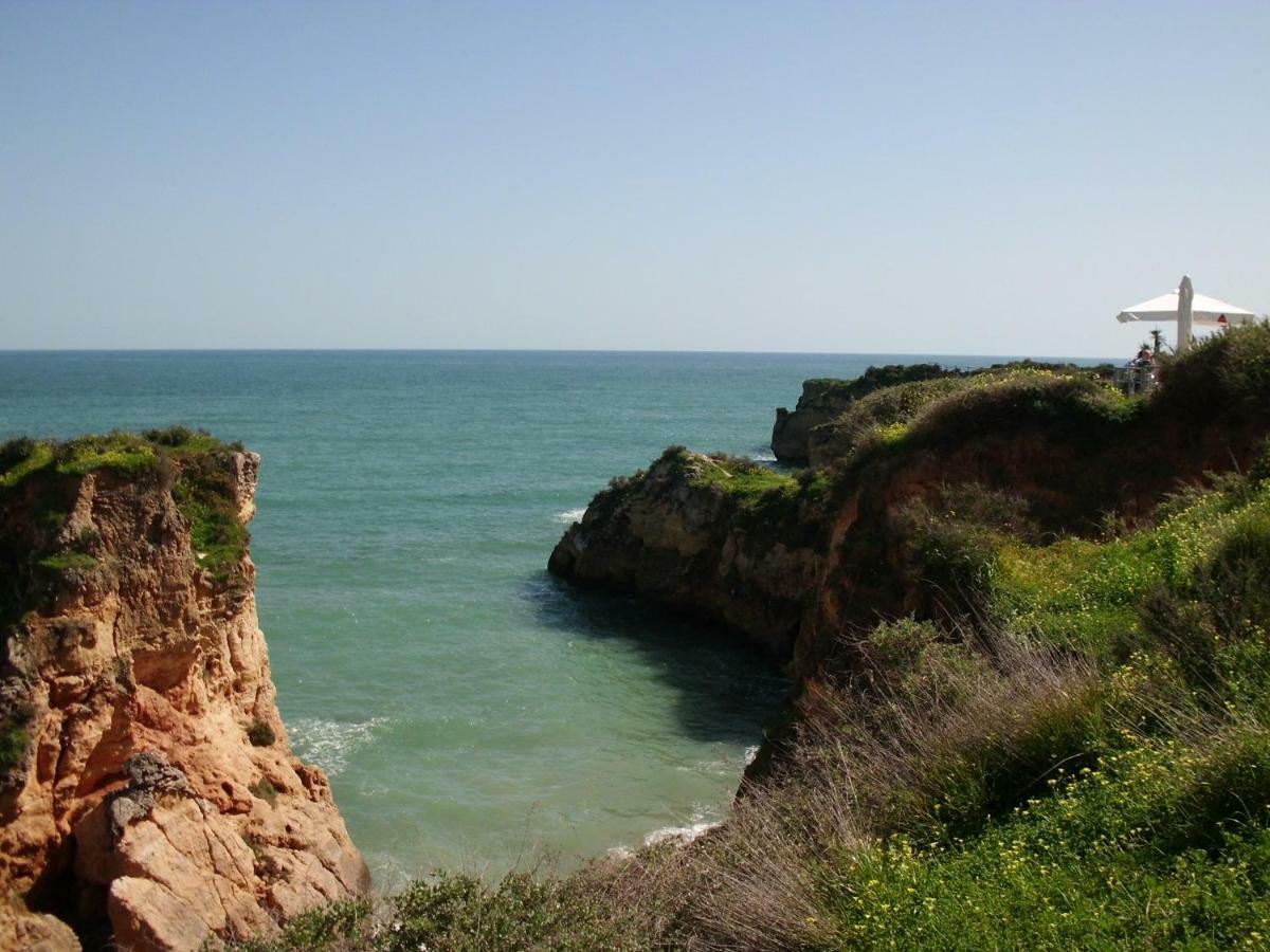 Moradia Perto Dos Palmares Villa Lagos Exteriör bild